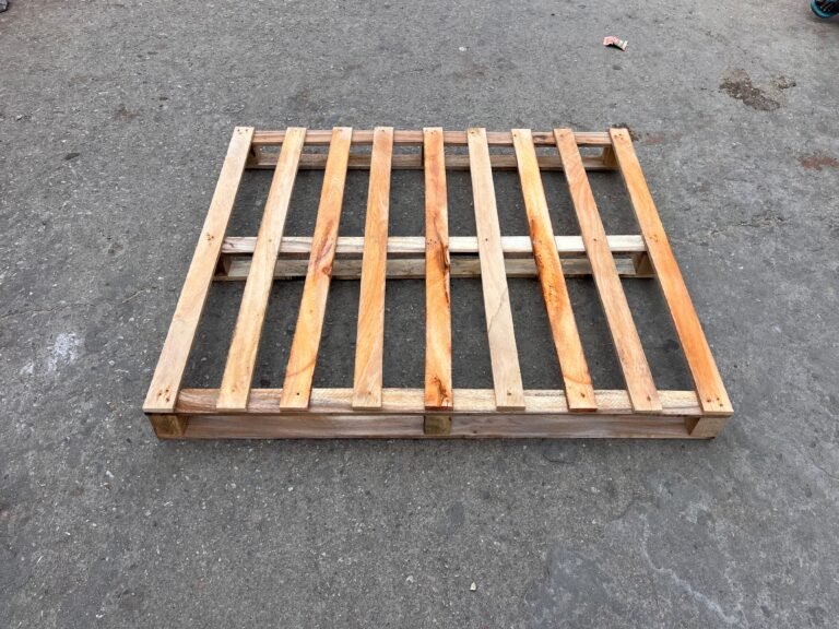 WhatsApp Image 2025-11-01 at 12.10