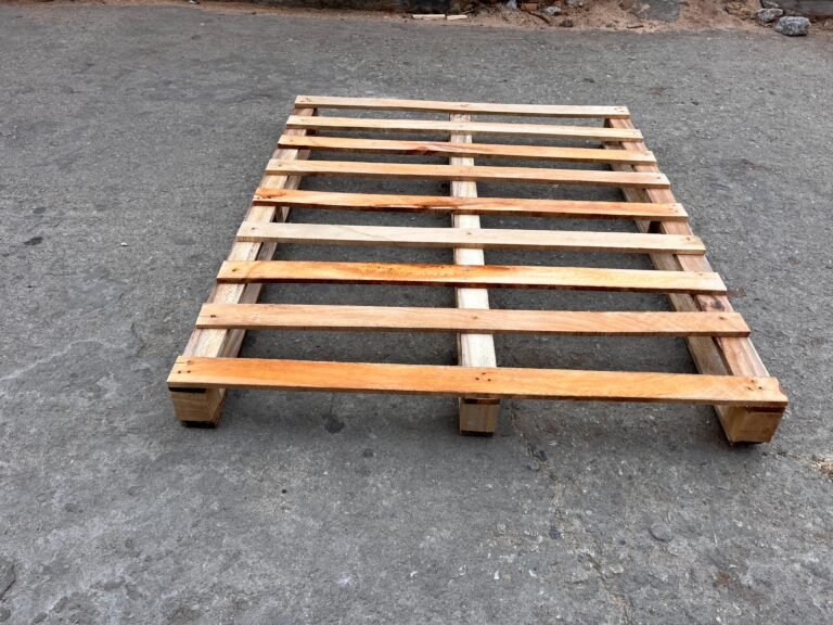 WhatsApp Image 2025-11-01 at 12.10