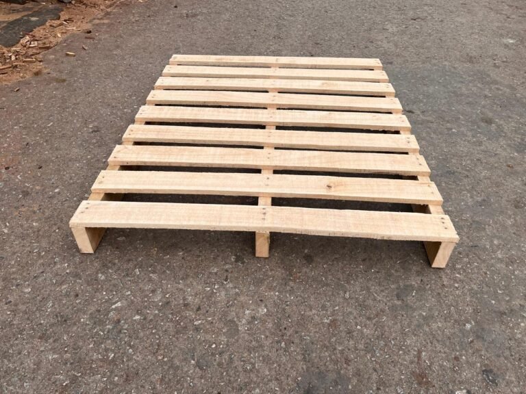 WhatsApp Image 2025-11-01 at 12.18