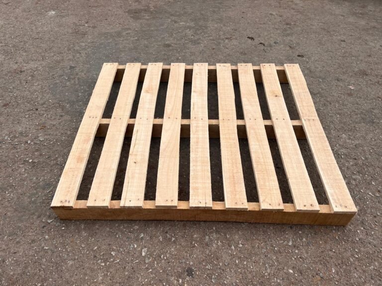 WhatsApp Image 2025-11-01 at 12.18