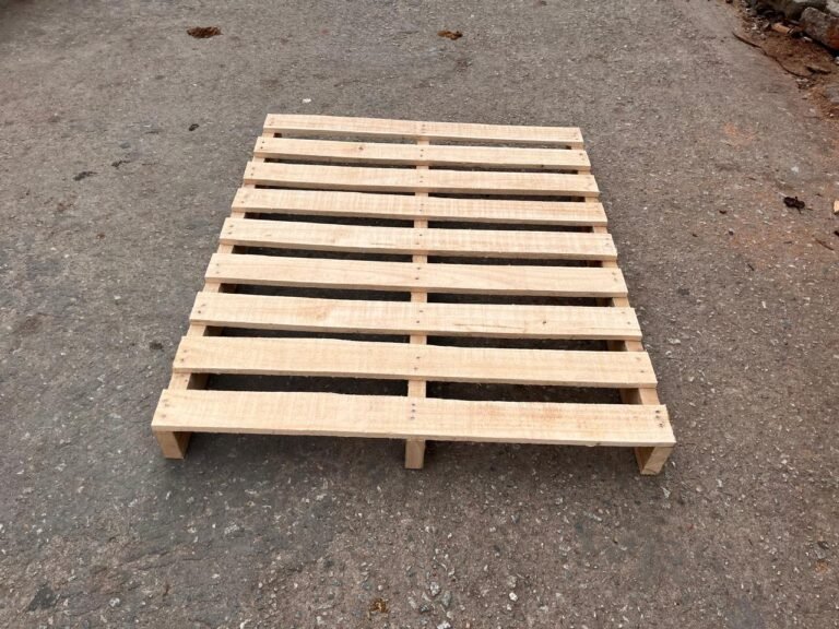 WhatsApp Image 2025-11-01 at 12.18