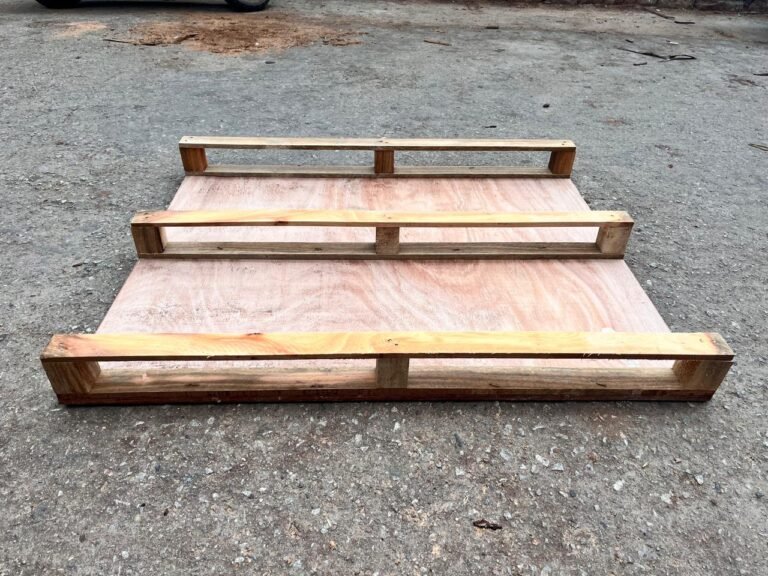 WhatsApp Image 2025-11-01 at 12.21