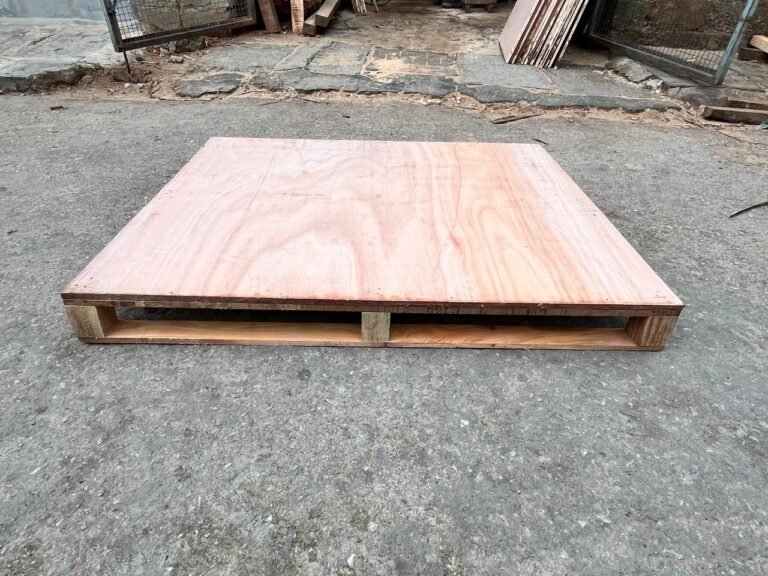 WhatsApp Image 2025-11-01 at 12.21