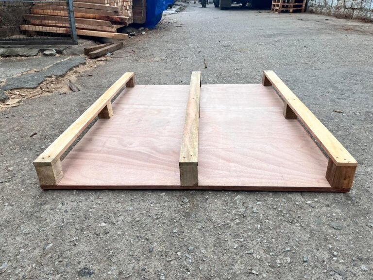 WhatsApp Image 2025-11-01 at 12.21