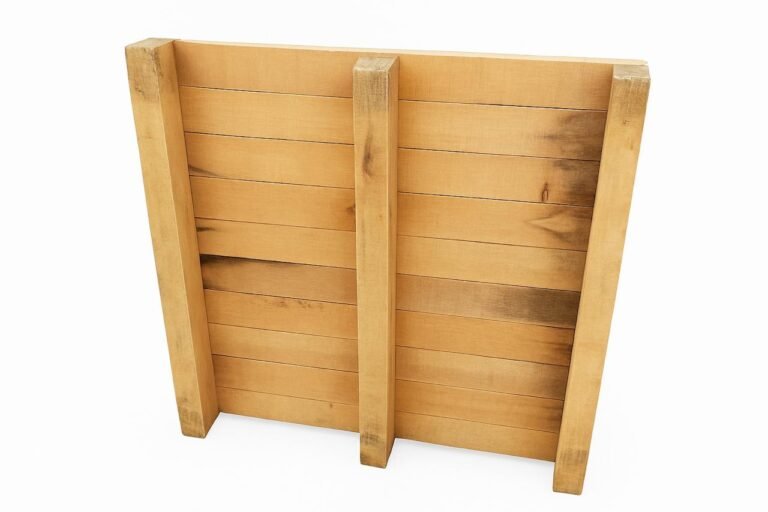 WhatsApp Image 2025-11-01 at 12.28