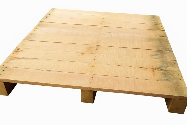 WhatsApp Image 2025-11-01 at 12.28