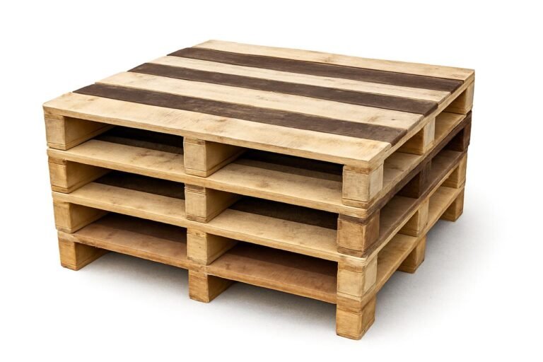 WhatsApp Image 2025-11-01 at 12.28