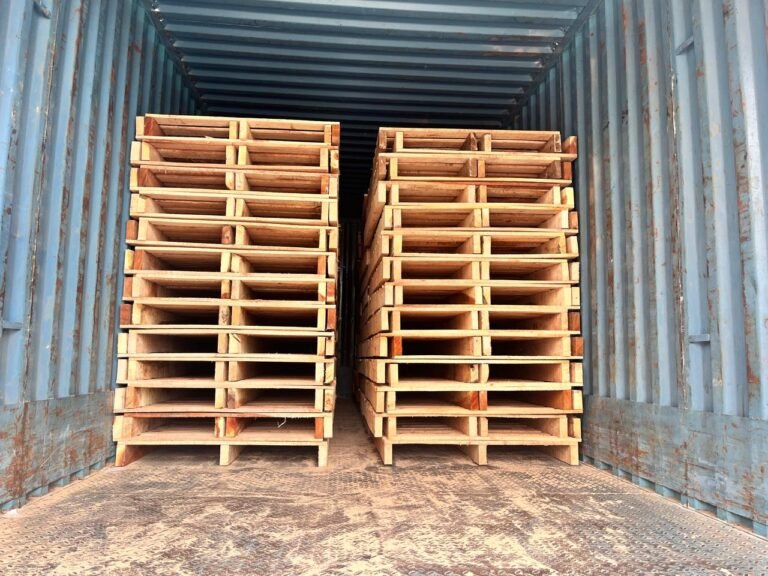 WhatsApp Image 2025-11-01 at 12.33