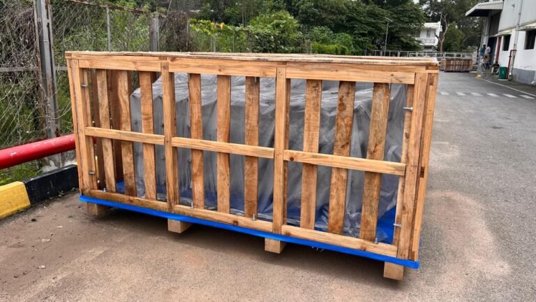 WhatsApp Image 2025-11-01 at 12.46