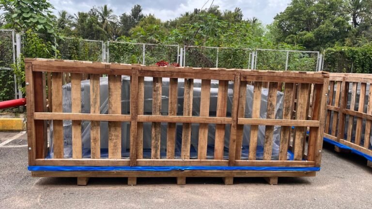 WhatsApp Image 2025-11-01 at 12.46