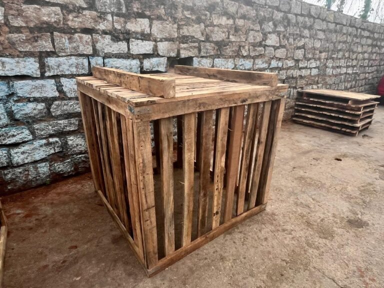 WhatsApp Image 2025-11-01 at 12.49