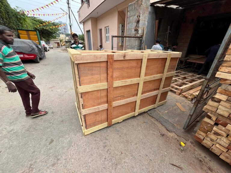 WhatsApp Image 2025-11-01 at 12.50